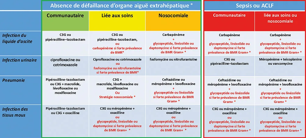 Tableau 2 : Recommandations pour l’antibiothérapie curative d’après (47)