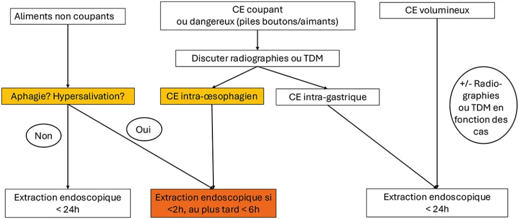 Figure 1 : Algorithme de prise en charge des CE