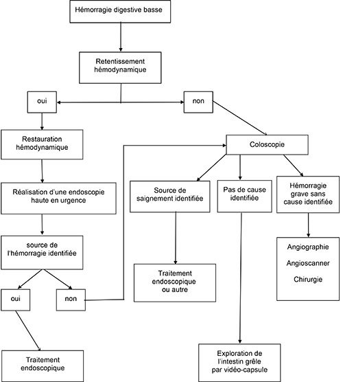 algorithme de prise en charge d'une hémorragie digestive