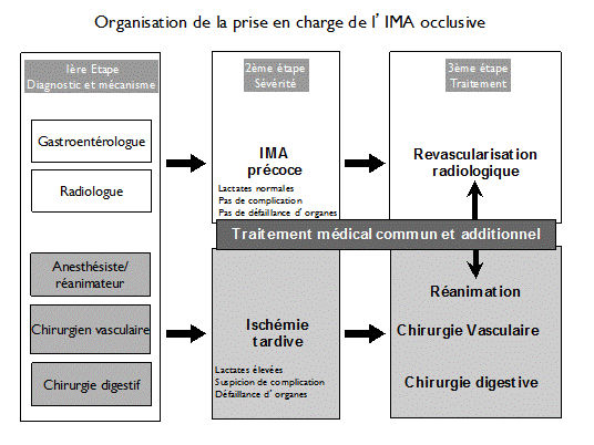 Organisation de la prise en charge