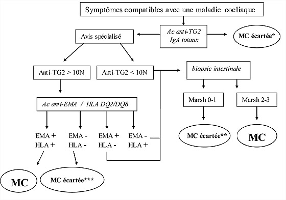 Figure 3 : Arbre diagnostic devant des symptômes compatibles avec une maladie coeliaque (modifié d’après [1]). 