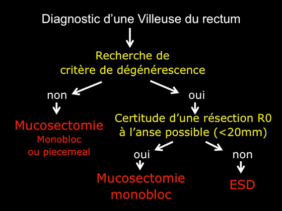 Figure 9 : algorithme décisionnel du choix du traitement endoscopique 